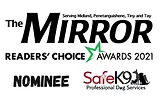 The Mirror Reader's Choice Nominee 2021